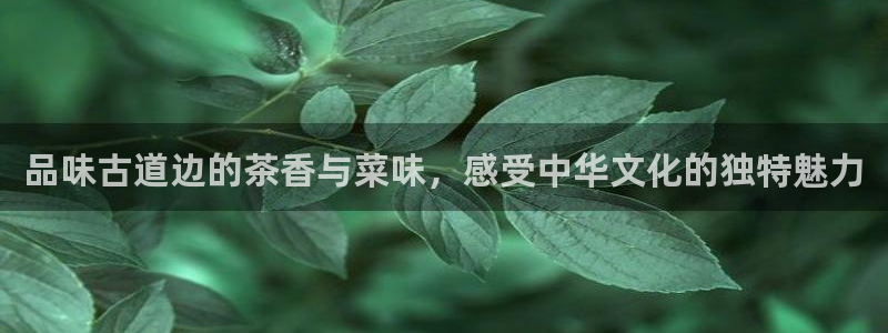 金年会网官网新版