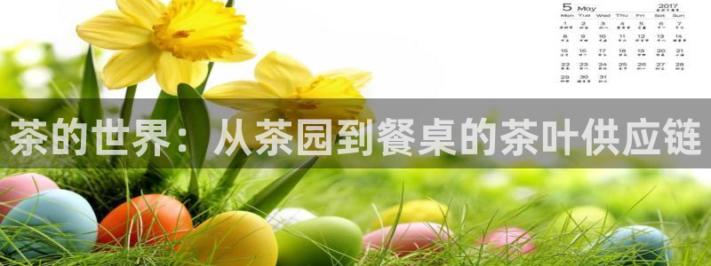 金年会网官网新版
