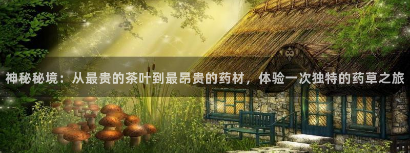 金年会体育下载app