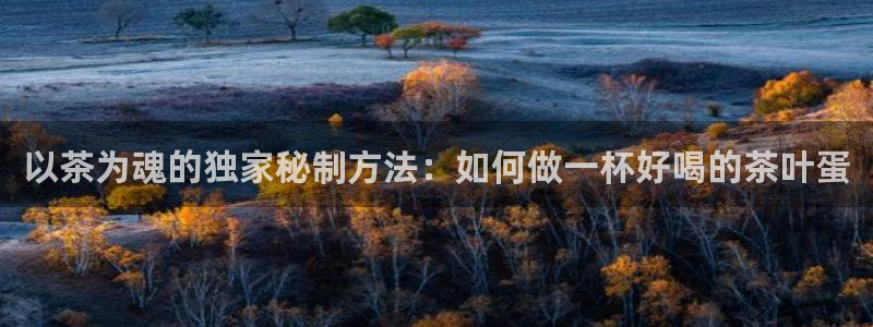 金年会 中国 金年会
