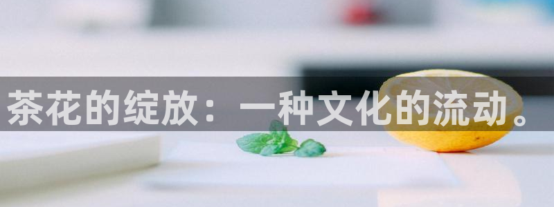 金年会投注官网