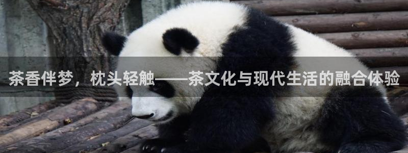 金年会提款