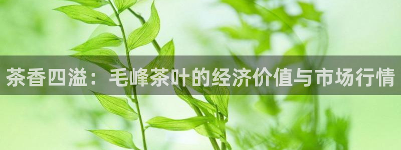 2022金年会