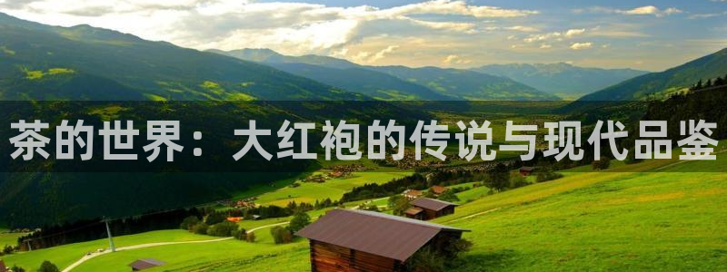 金年会体育平台