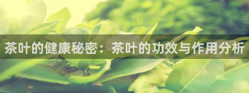 金年会手机官网