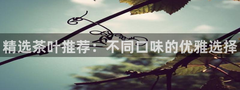 年会金