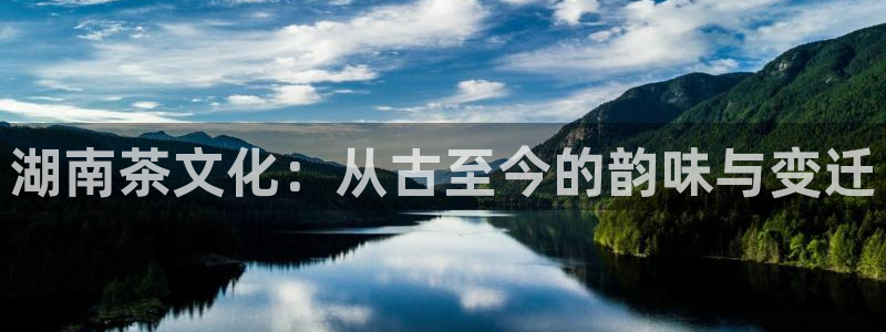 金年会娱乐