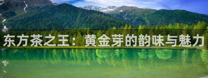 金年会游戏官网