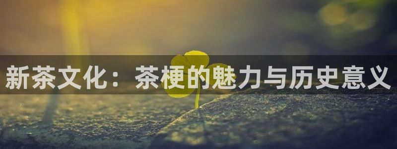 金年会赌博