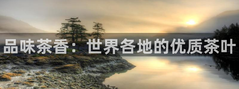 陆金所 年会