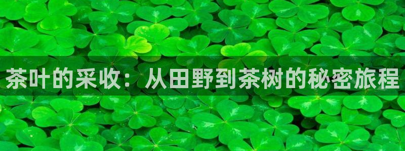 金年会APP安装下载