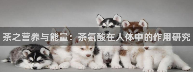 金年会 平台