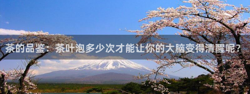 金年会拼音