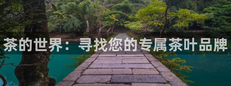 金年会体育官方下载