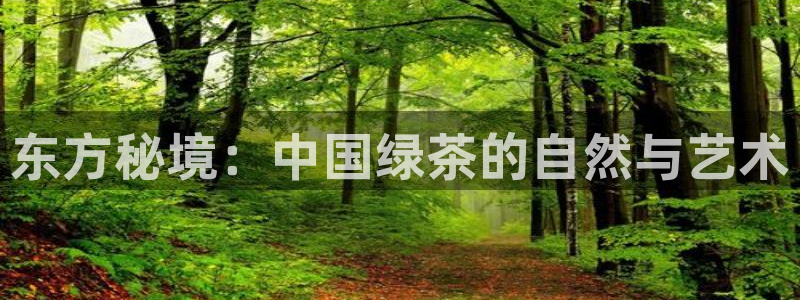 金年会官方入口