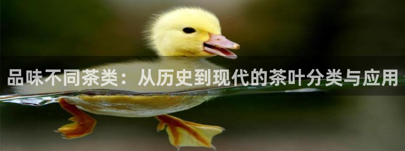 为什么搜索不了金年会