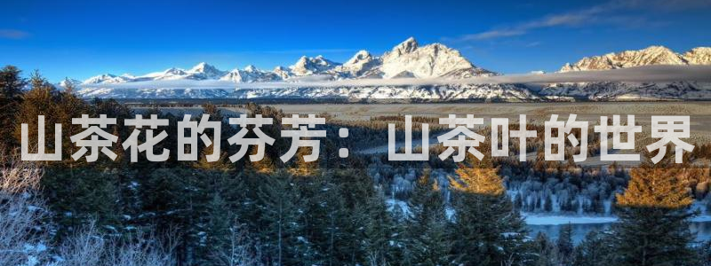 金年会首页登录