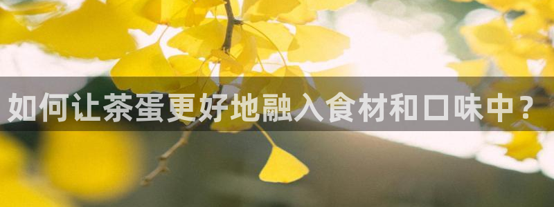 金年会体育官网