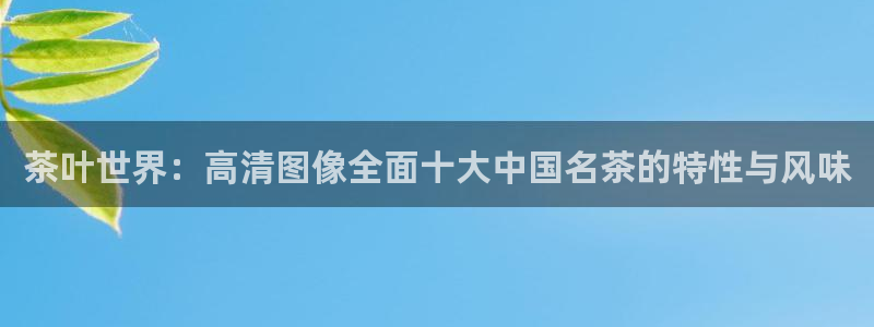 金年会APP安装下载