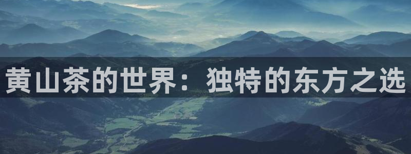 金年会游戏官网