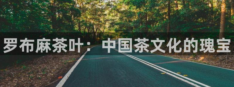 金年会官网入口