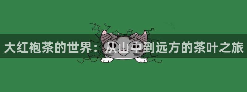 金年会在线下载