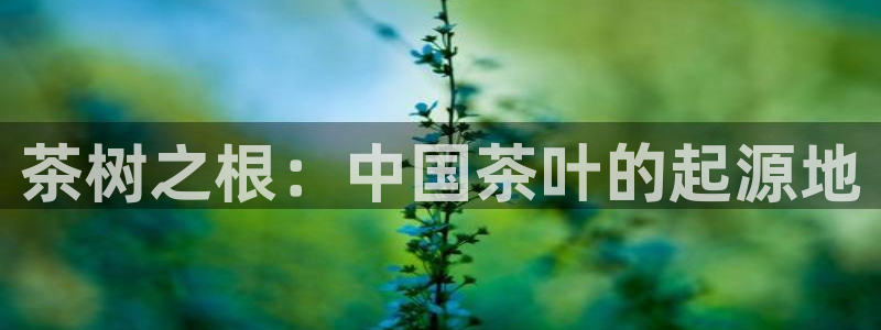 金年会在线登录