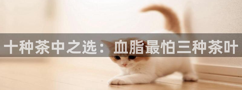 金年会赞助西甲